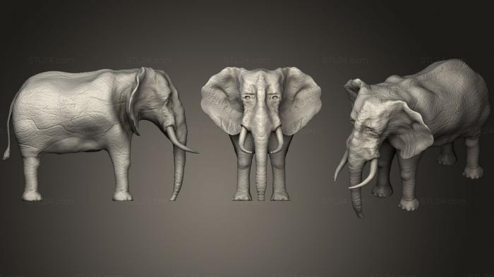 Статуэтки животных (Слон (2), STKJ_0918) 3D модель для ЧПУ станка
